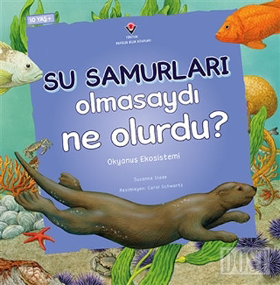 Su Samurları Olmasaydı Ne Olurdu?